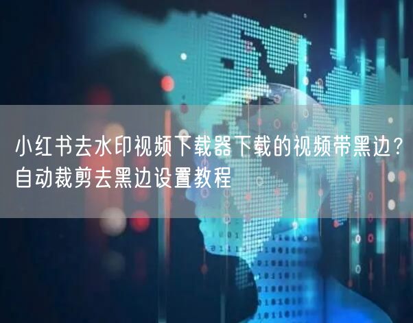 小红书去水印视频下载器下载的视频带黑边？自动裁剪去黑边设置教程